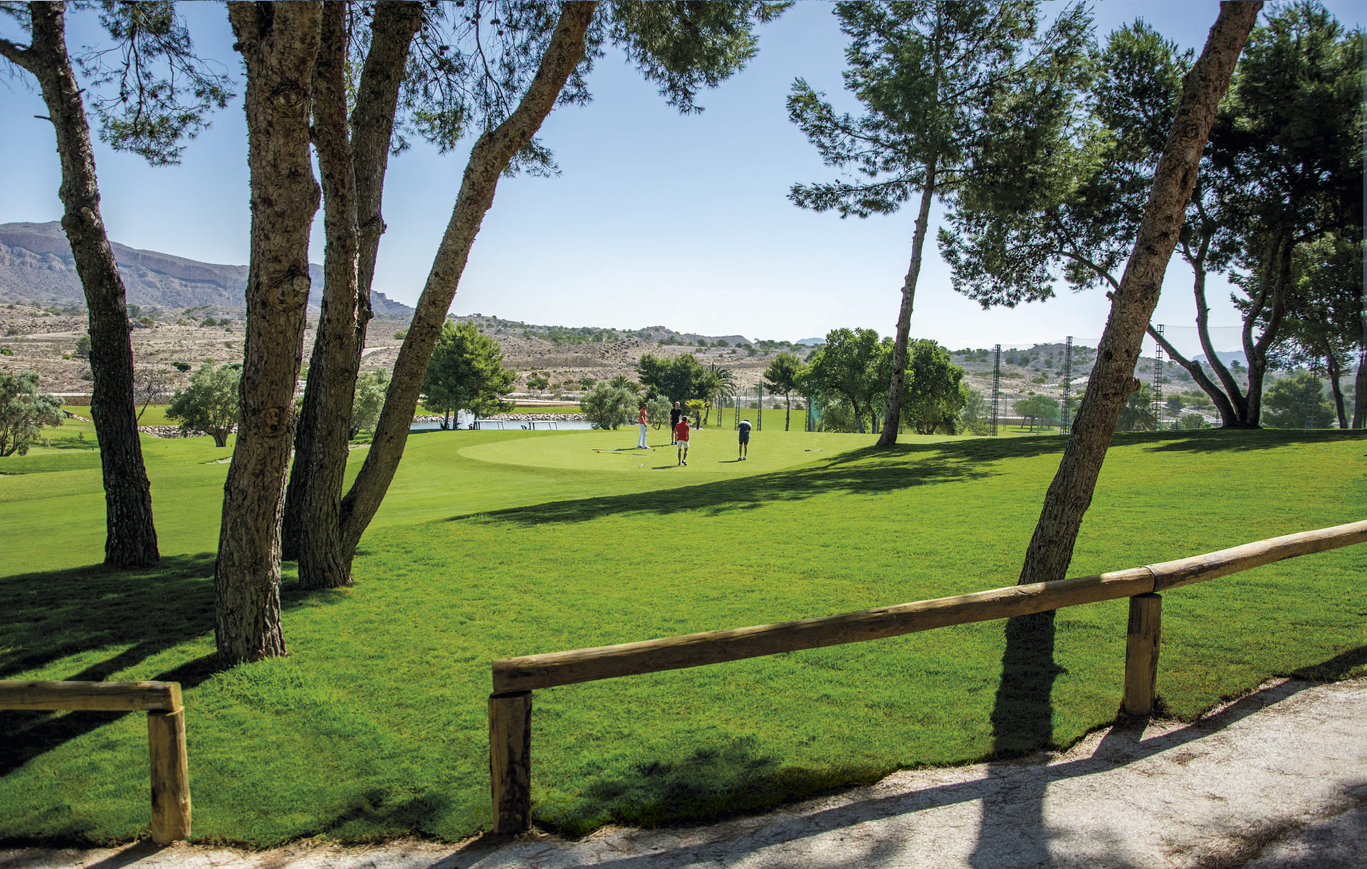 Pool area in low_bungalow for sale in Monforte del Cid