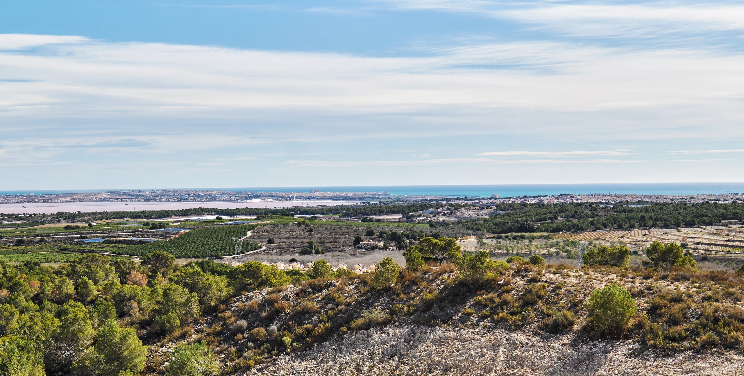Garden in villa for sale in San Miguel de Salinas