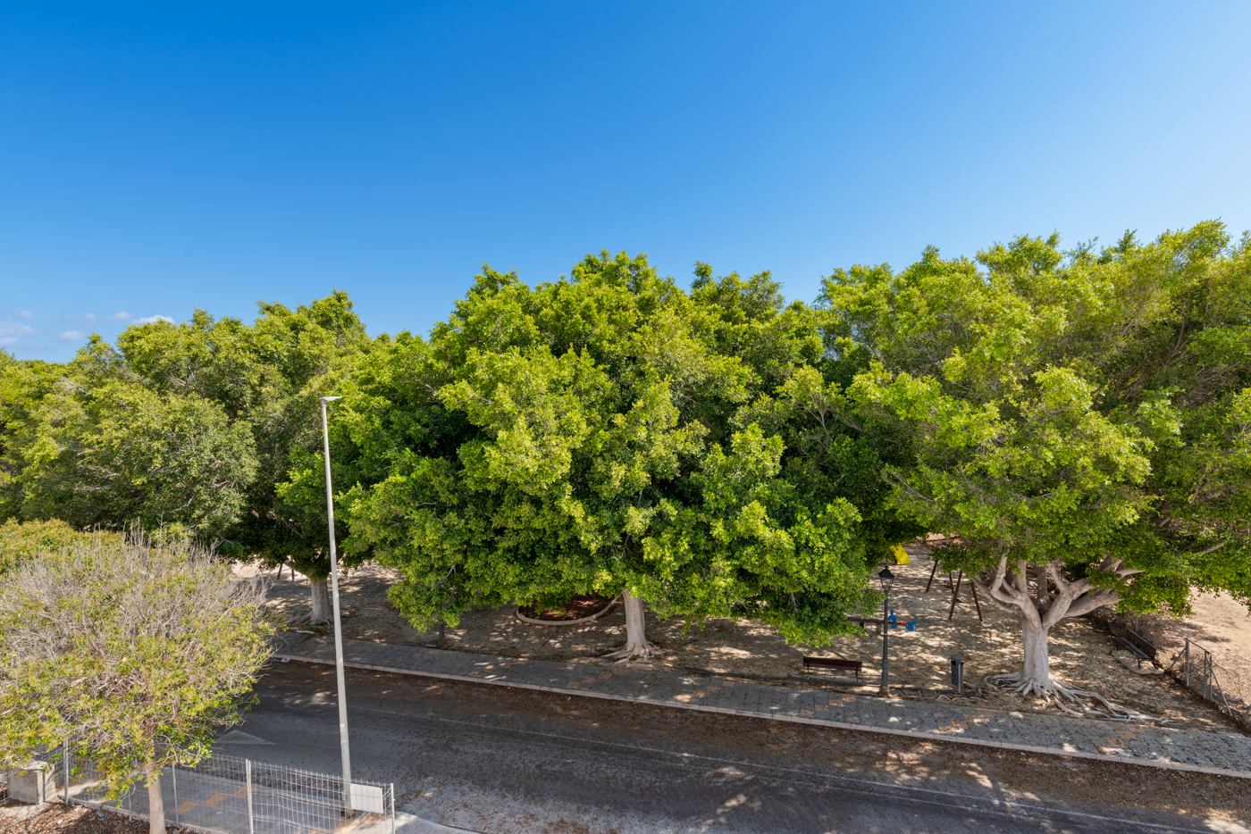 Exterior view in villa for sale in Pilar de la Horadada