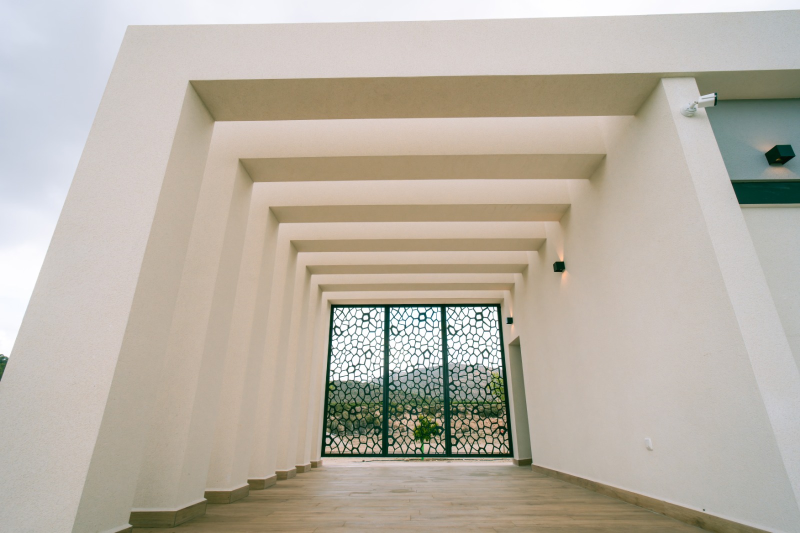 Exterior view in villa for sale in Pinoso