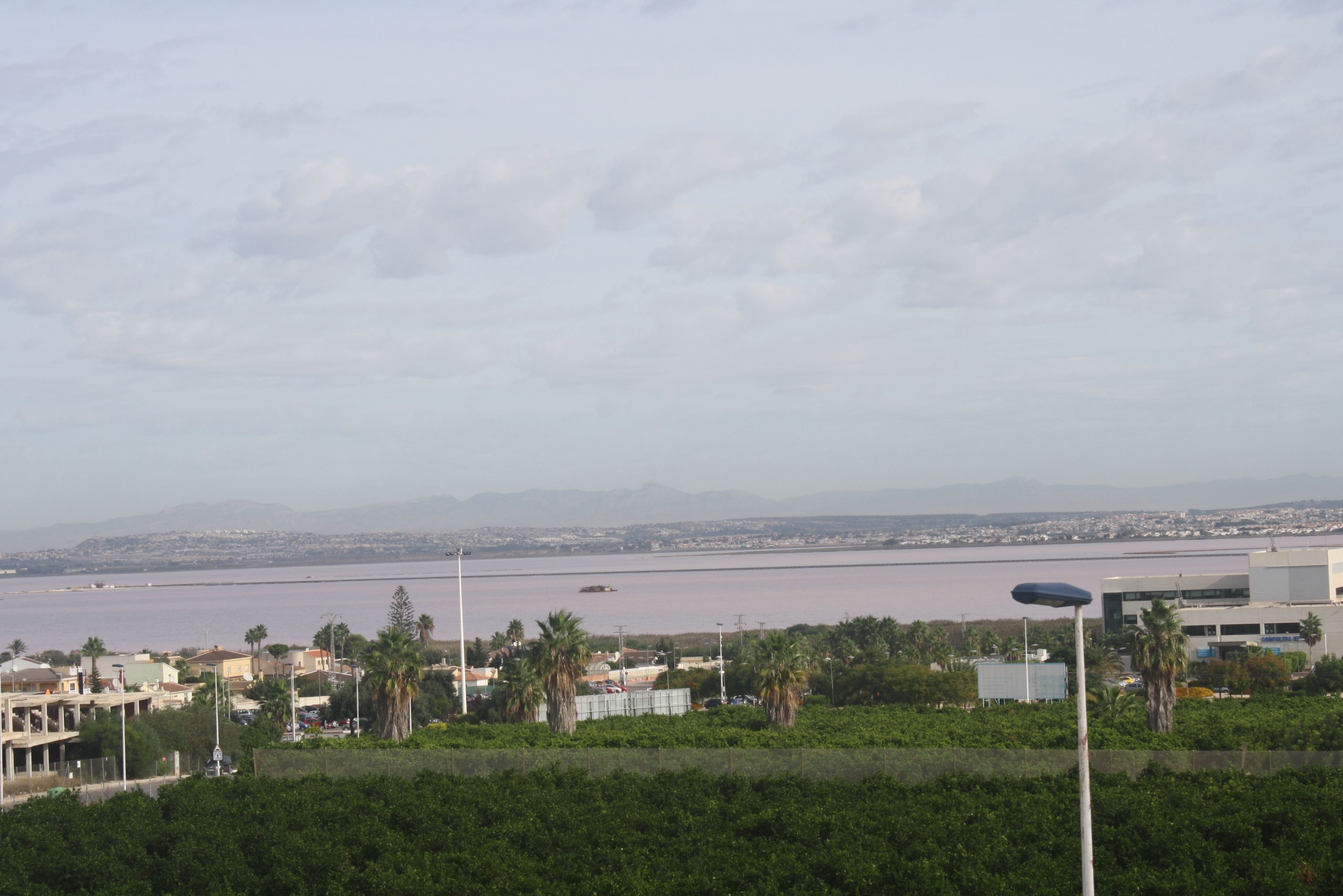 Pool area in terraced for sale in Torrevieja