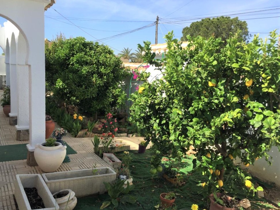 We offer you a large house near the salt lake Laguna Rosa