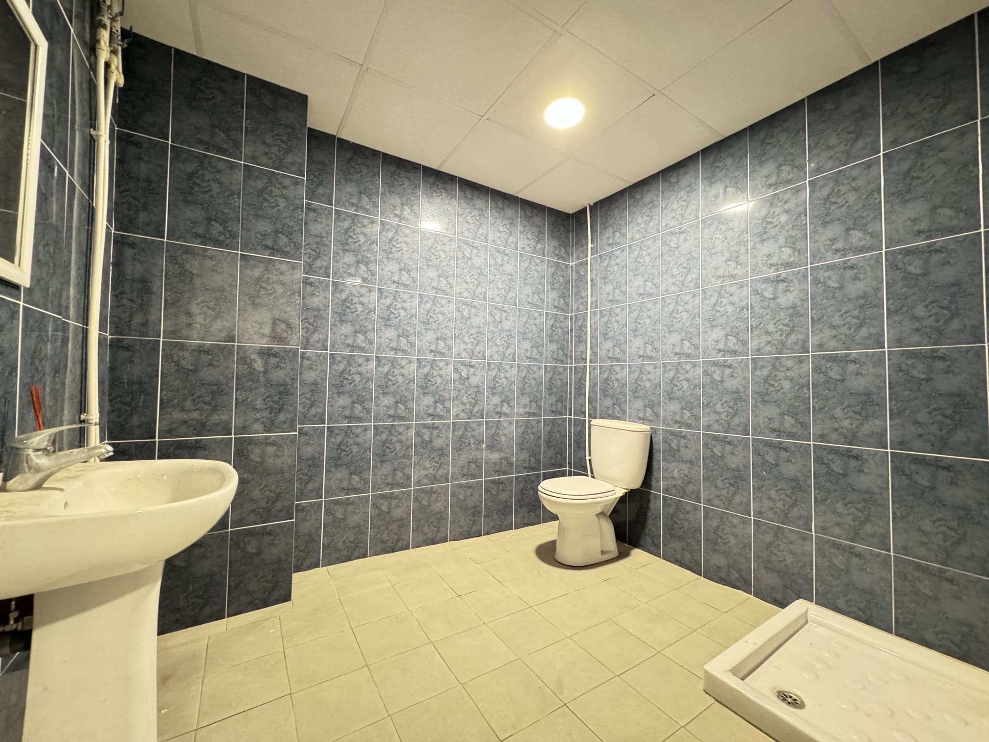 Garden in commercial for sale in Torrevieja