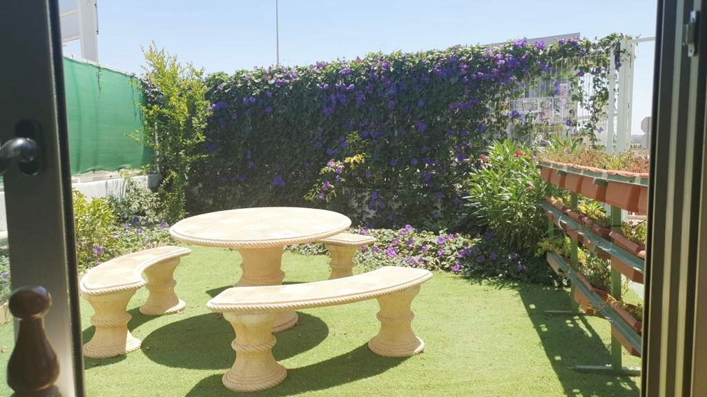 Pool area in commercial for sale in Almoradi