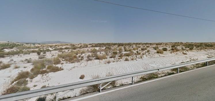 Garden in land for sale in Las Torres de Cotillas