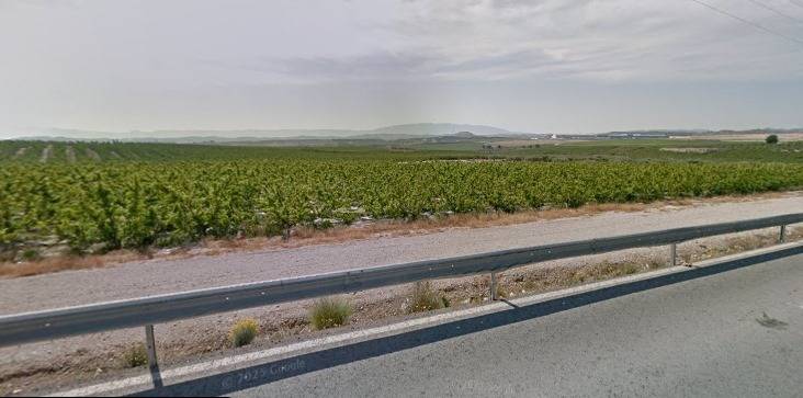 Garden in land for sale in Las Torres de Cotillas