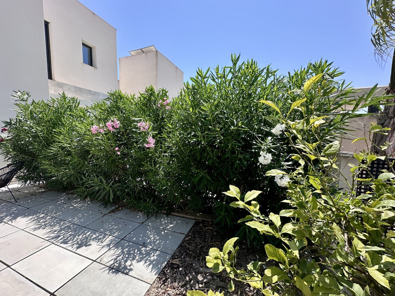 Terrace in villa for sale in Rojales Hills