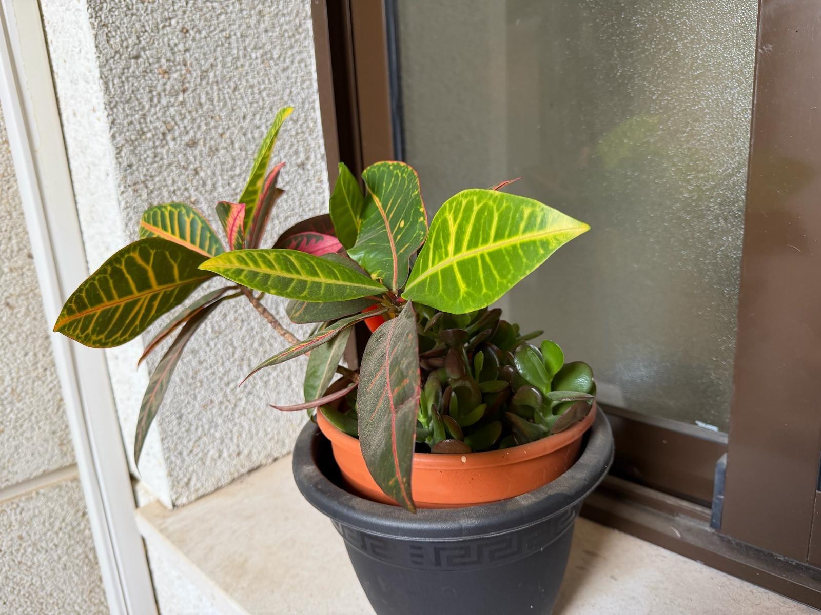 Bathroom in apartment for sale in Orihuela Costa