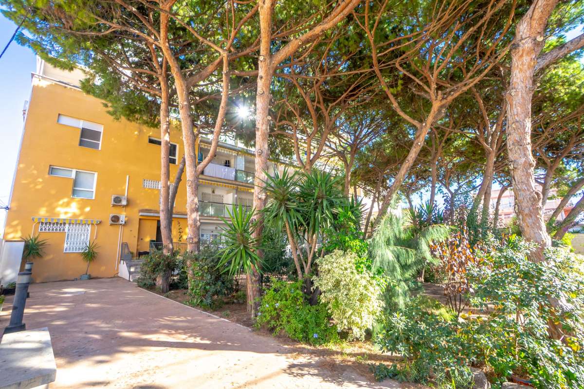 Pool area in apartment for sale in Lo Pagan