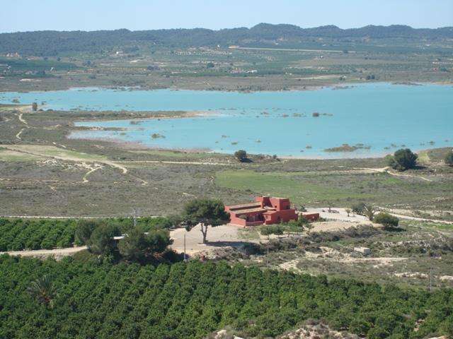 Master bedroom in finca for sale in Torremendo