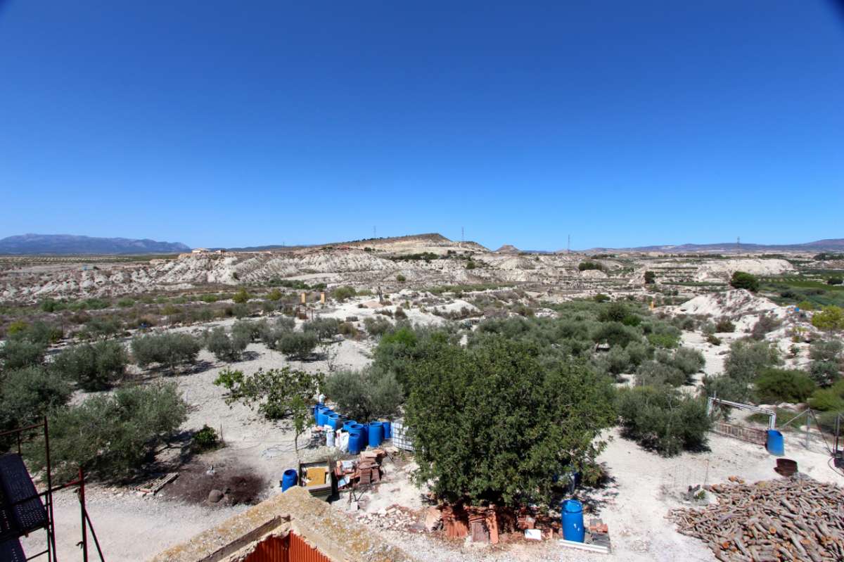 Garden in villa for sale in Albudeite