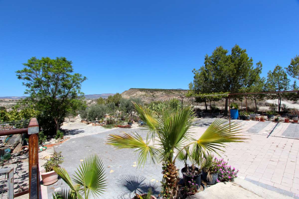 Pool area in villa for sale in Albudeite