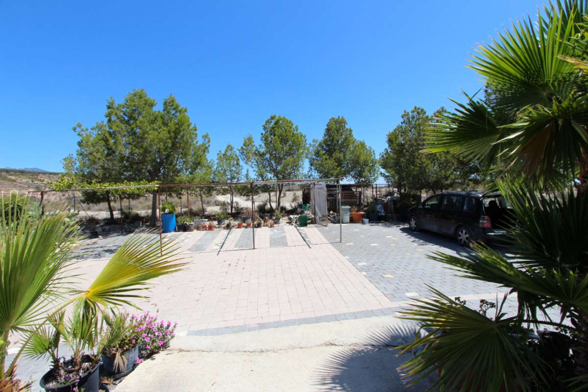 Garden in villa for sale in Albudeite