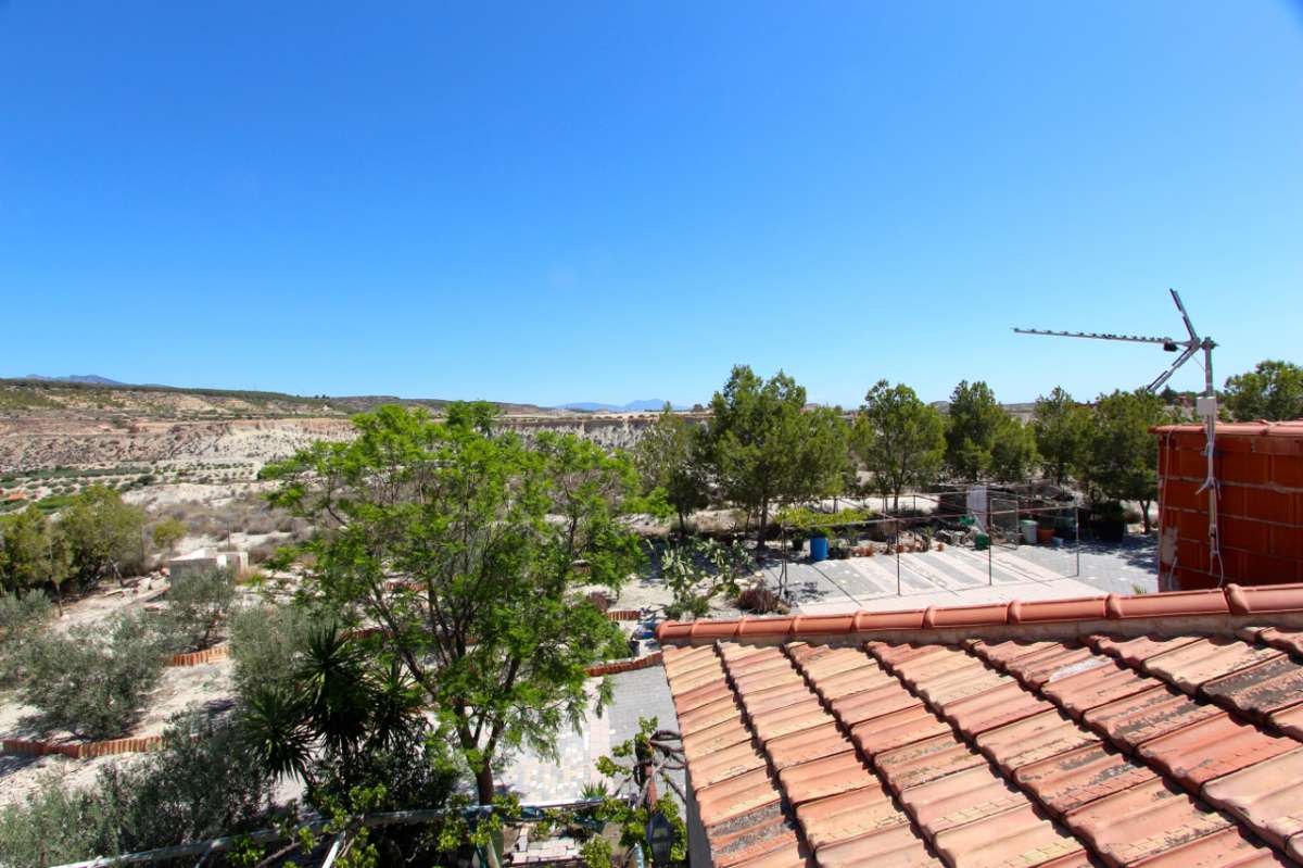 Garden in villa for sale in Albudeite