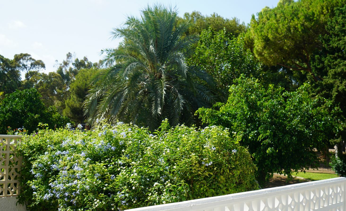Exterior view in terraced for sale in Orihuela Costa