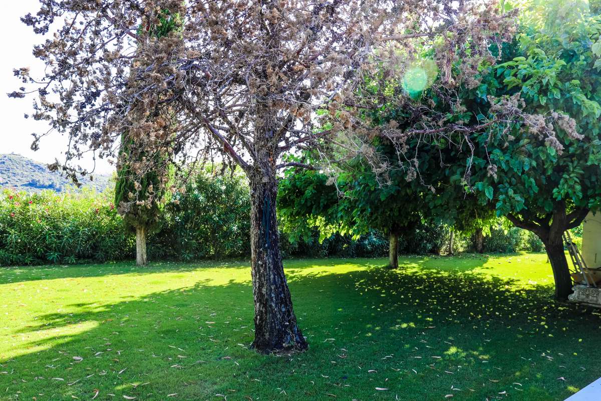 Exterior view in villa for sale in Jesus Pobre