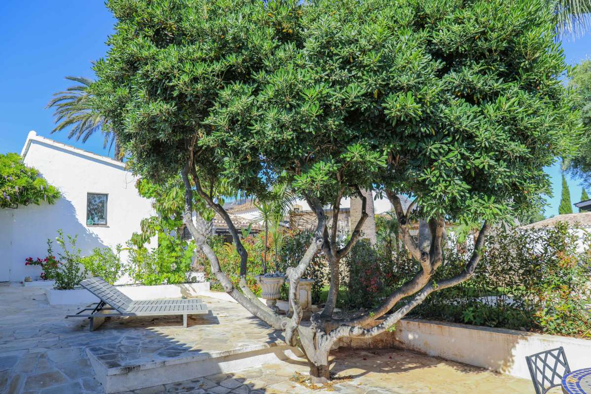 Living room in villa for sale in Jesus Pobre