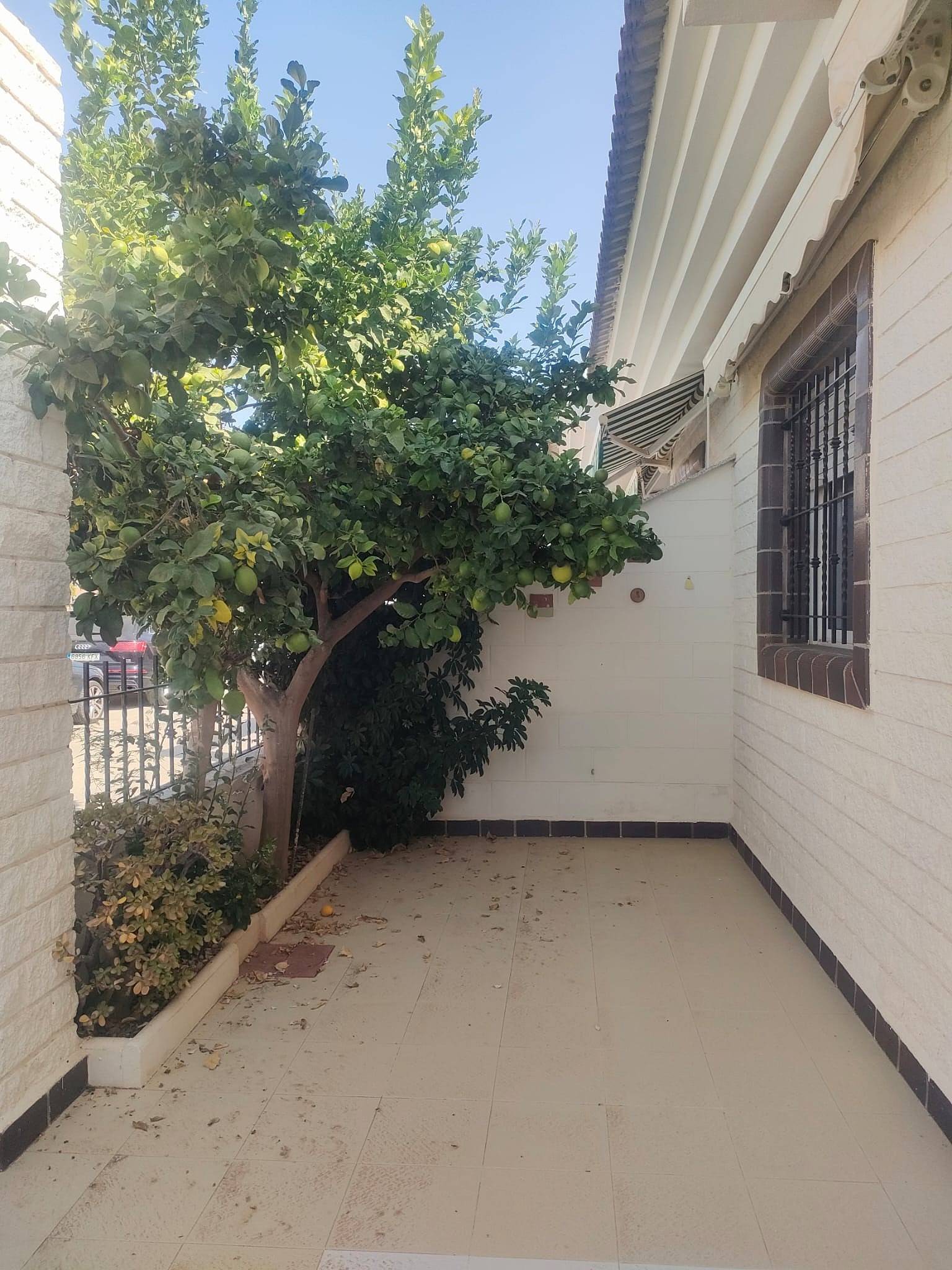 Exterior view in terraced for sale in Pilar de La Horadada