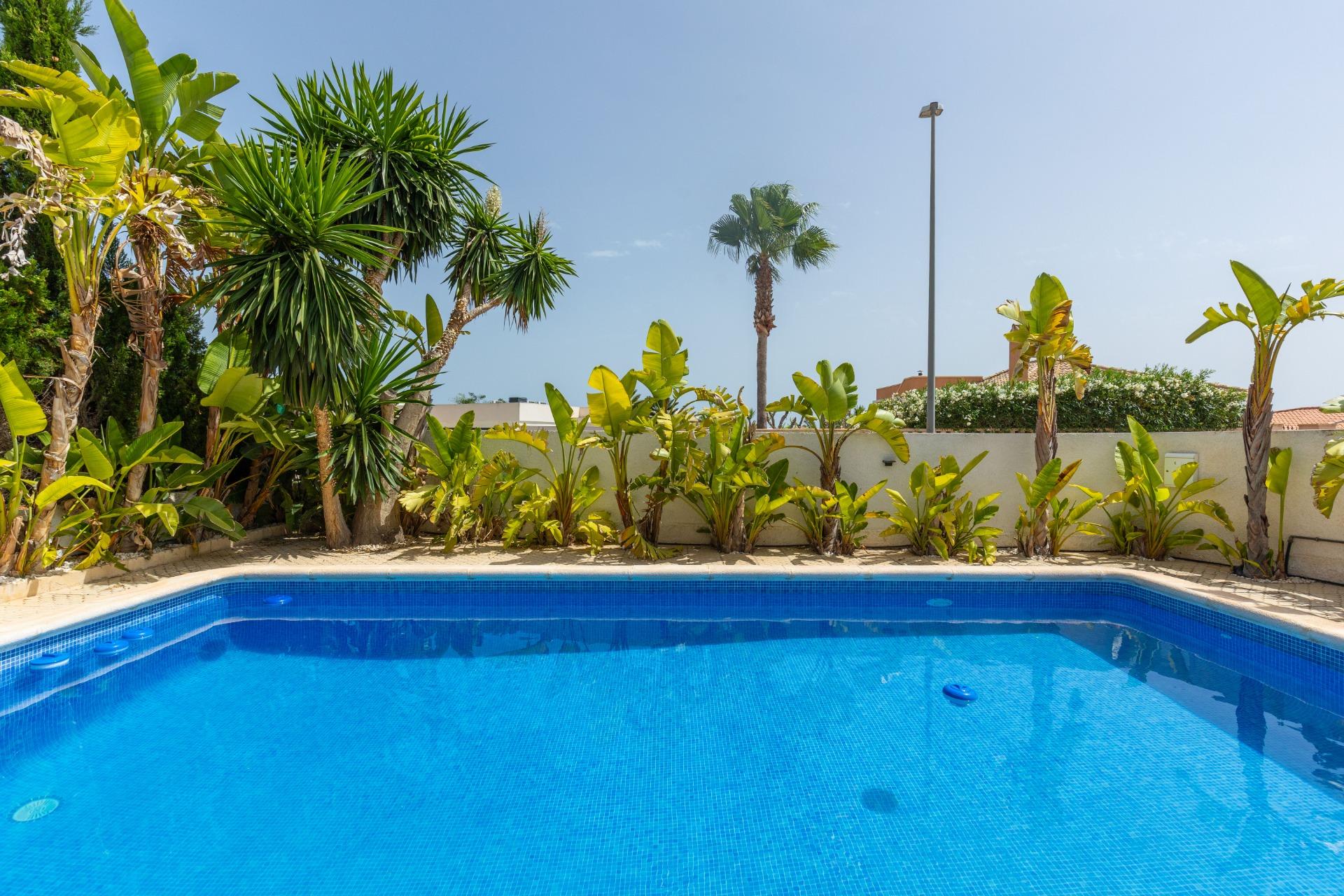 Garden in villa for sale in San Fulgencio