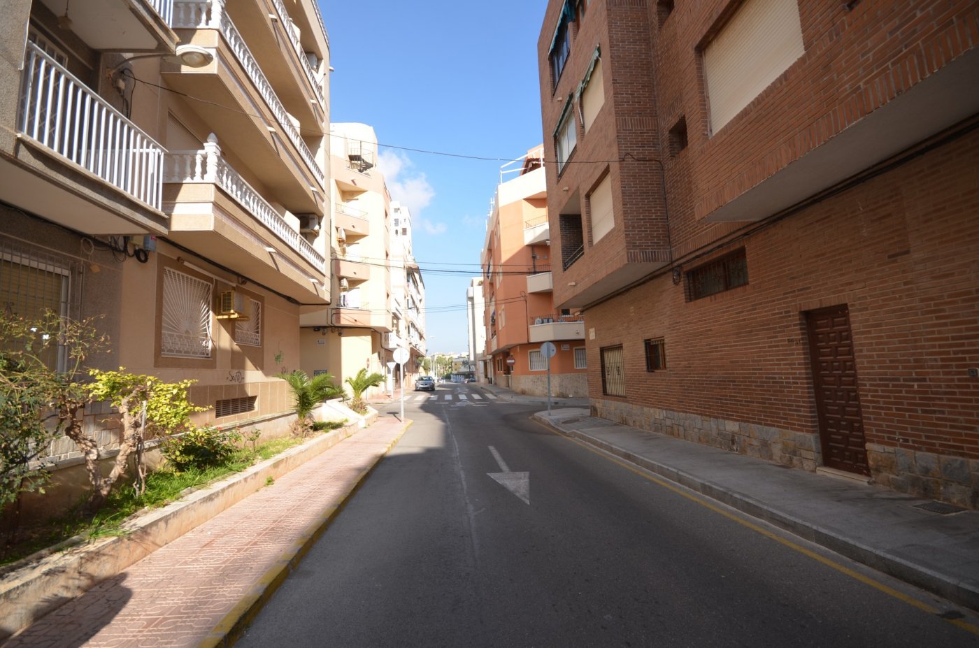 Pool area in commercial for sale in Torrevieja