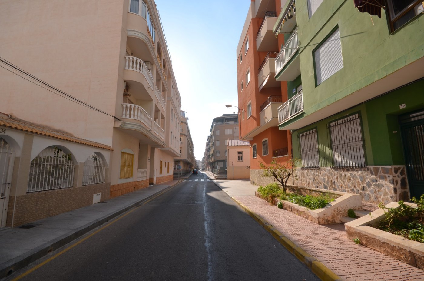 Garden in commercial for sale in Torrevieja