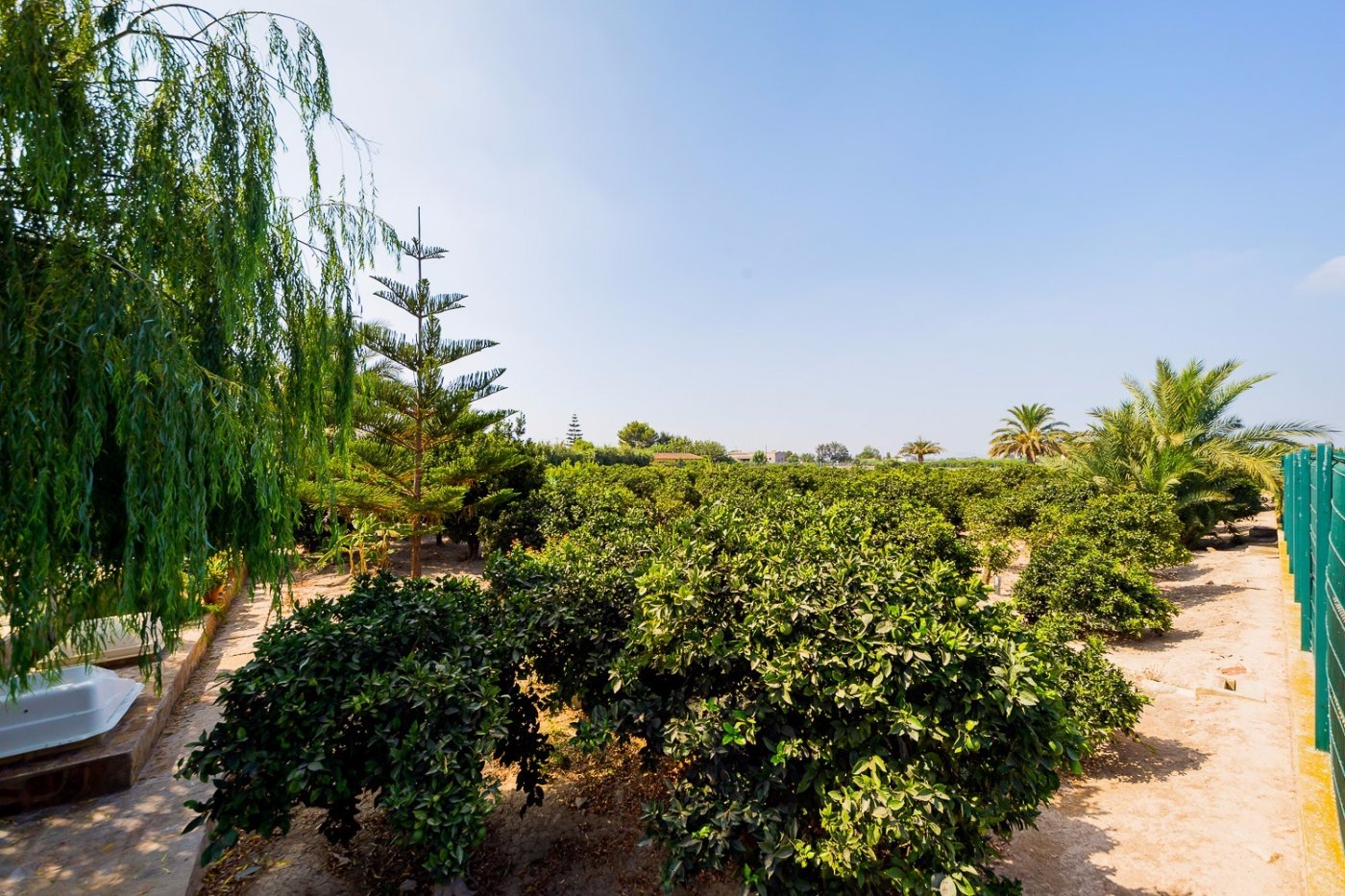 Garden in finca for sale in Almoradi