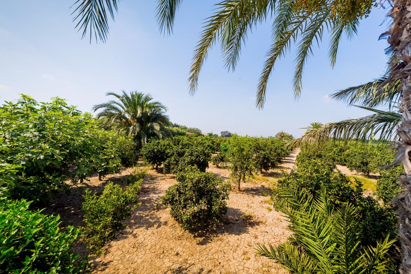 Bedroom in finca for sale in Almoradi