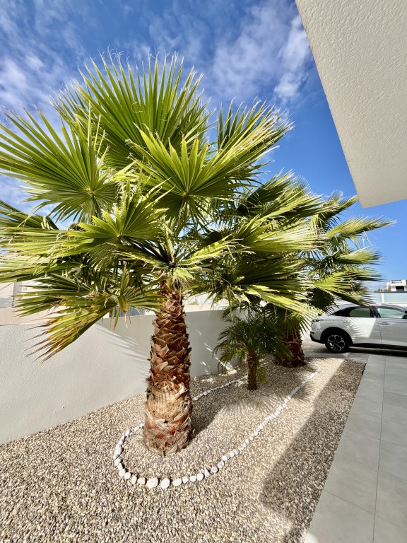 Dining area in villa for sale in Benijofar