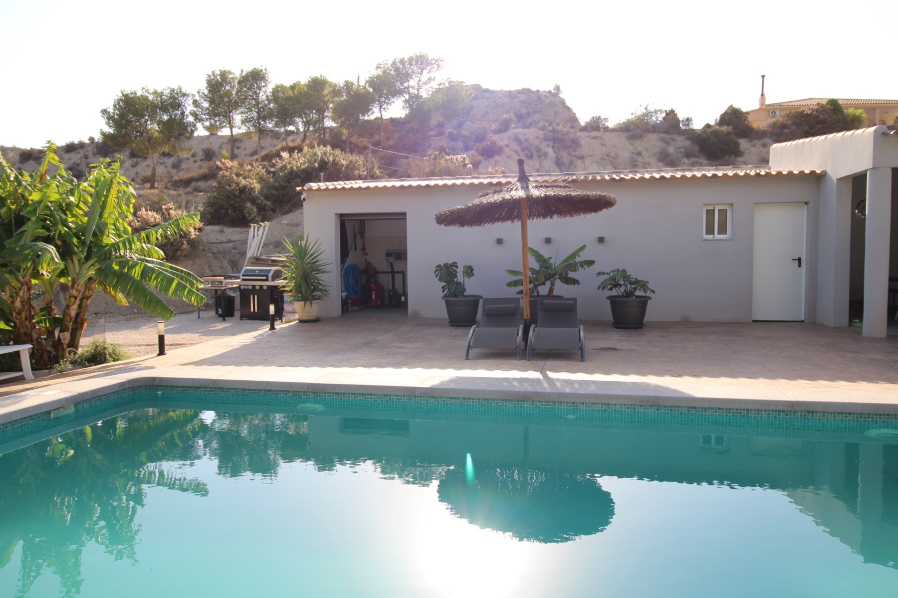Garden in villa for sale in Fortuna