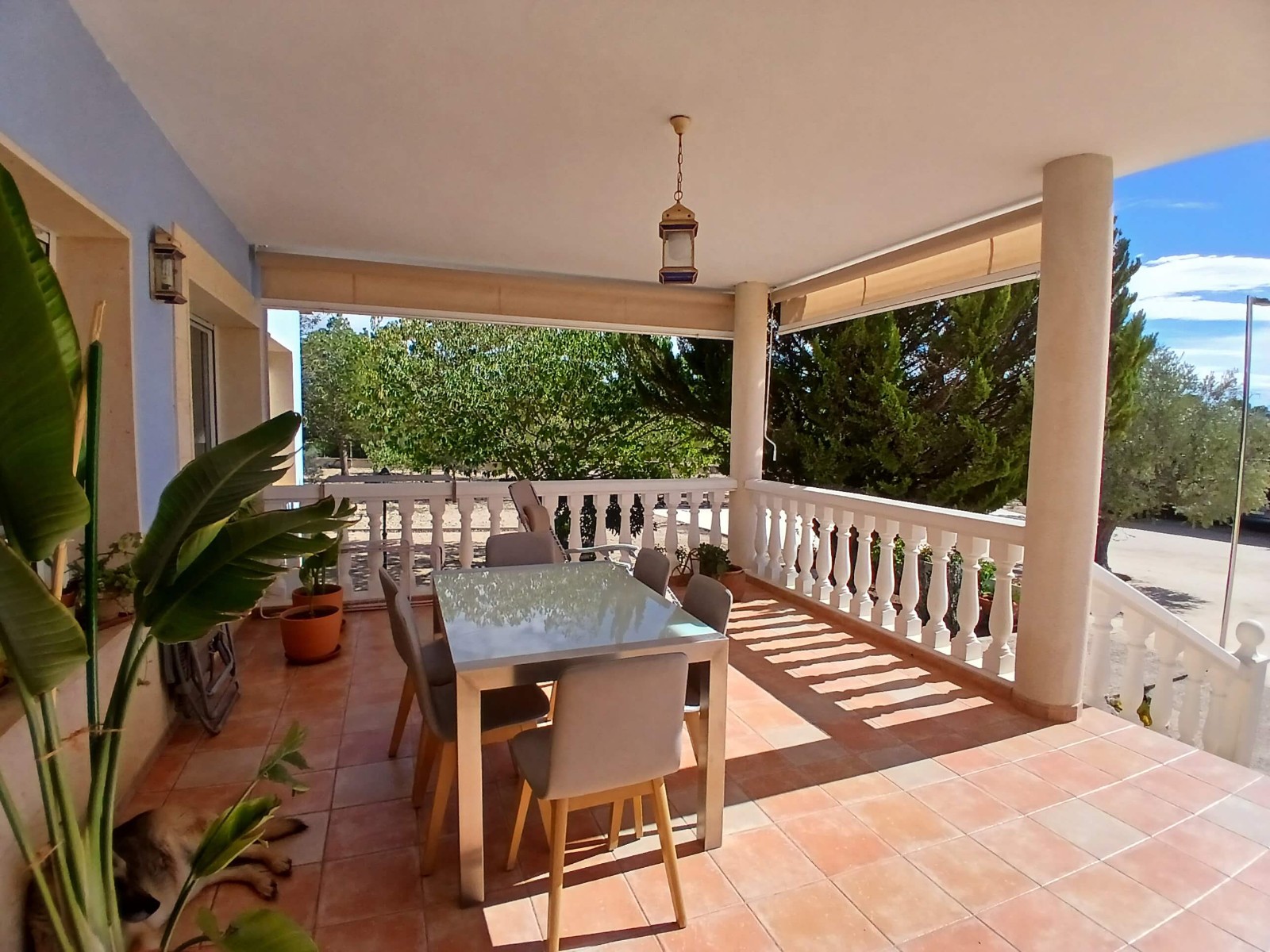 This beautiful detached villa located in a quiet neighbourhood, close to the centre of Yecla is equi