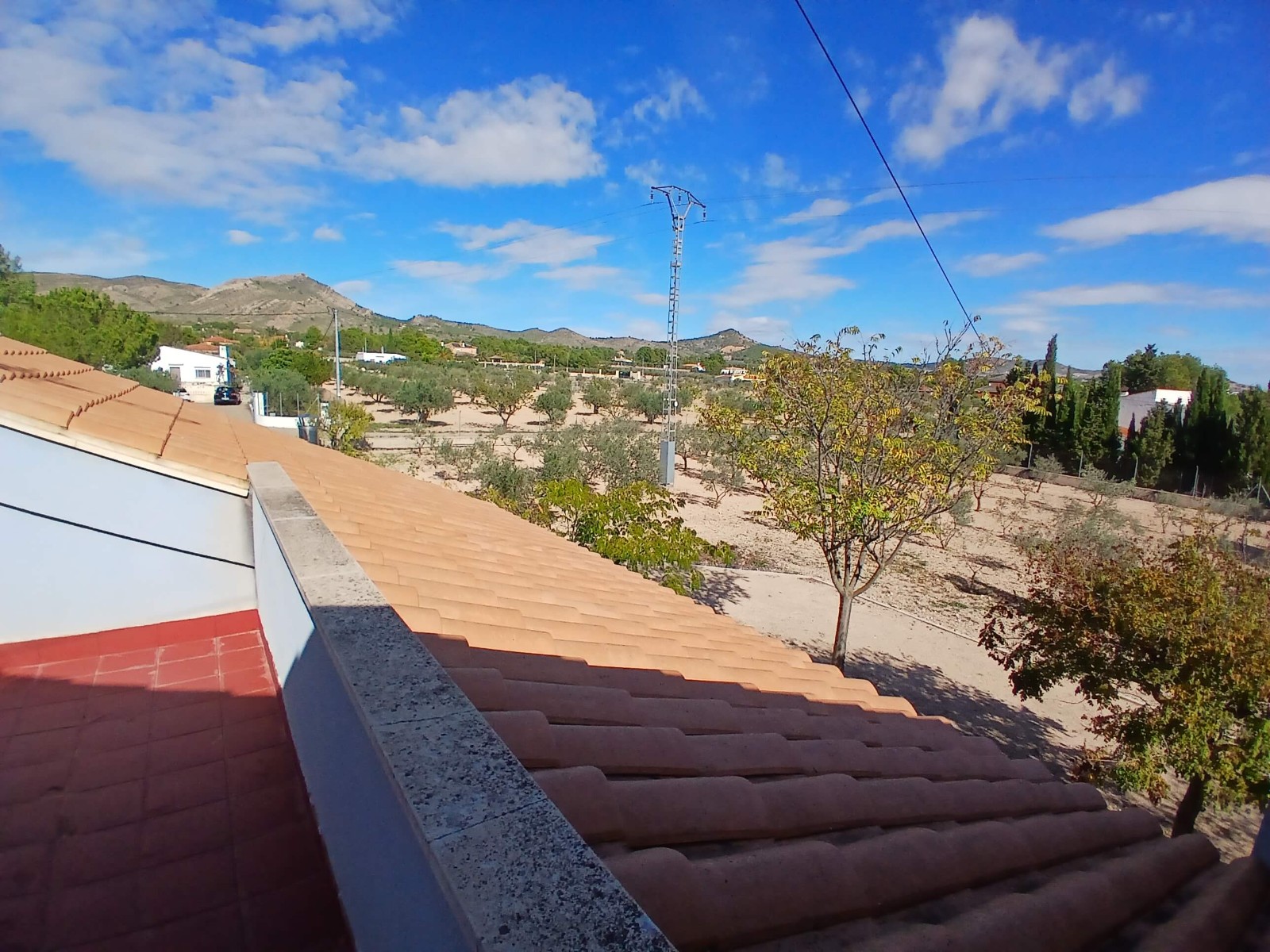 Exterior view in villa for sale in Yecla