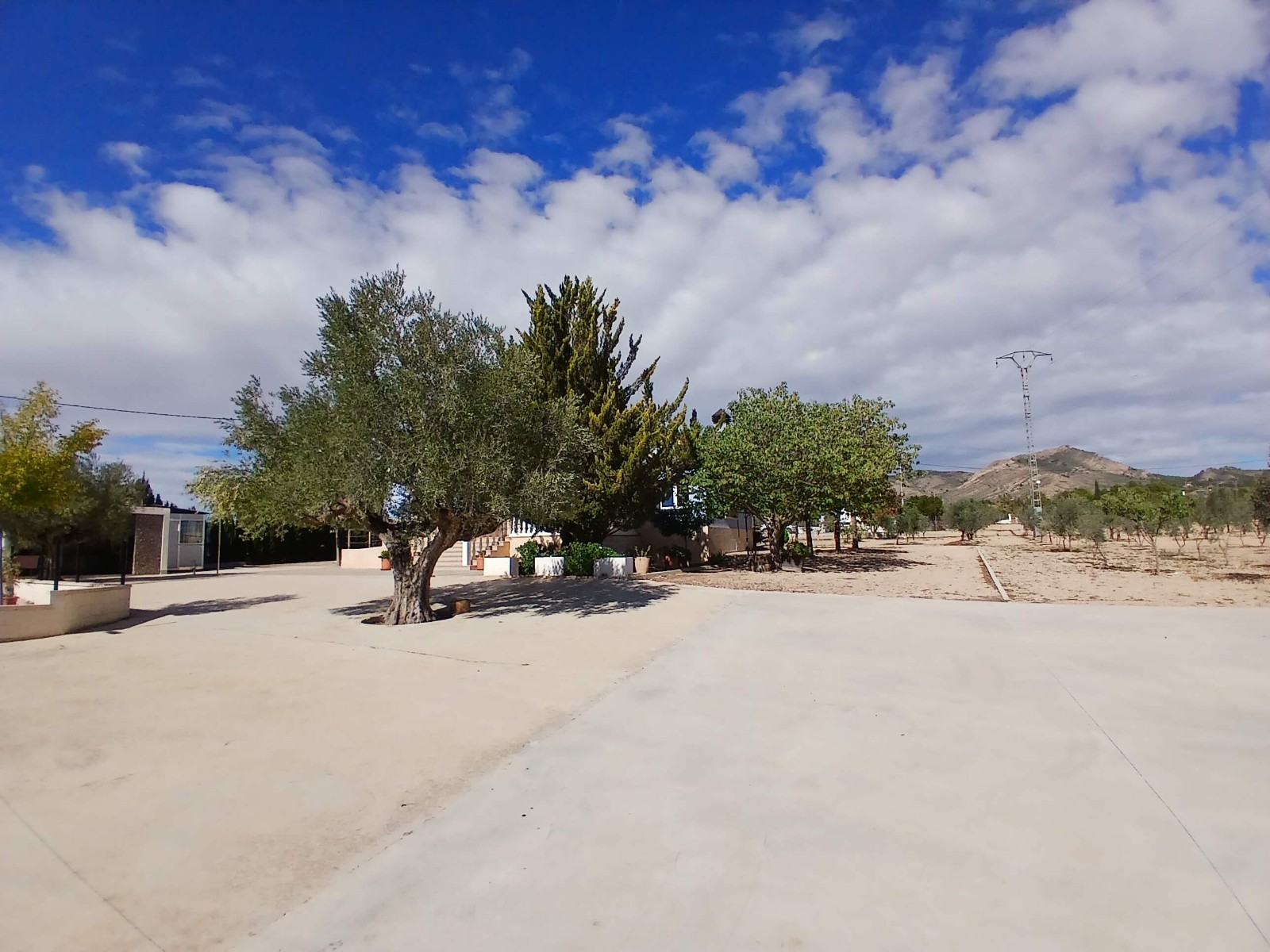Terrace in villa for sale in Yecla