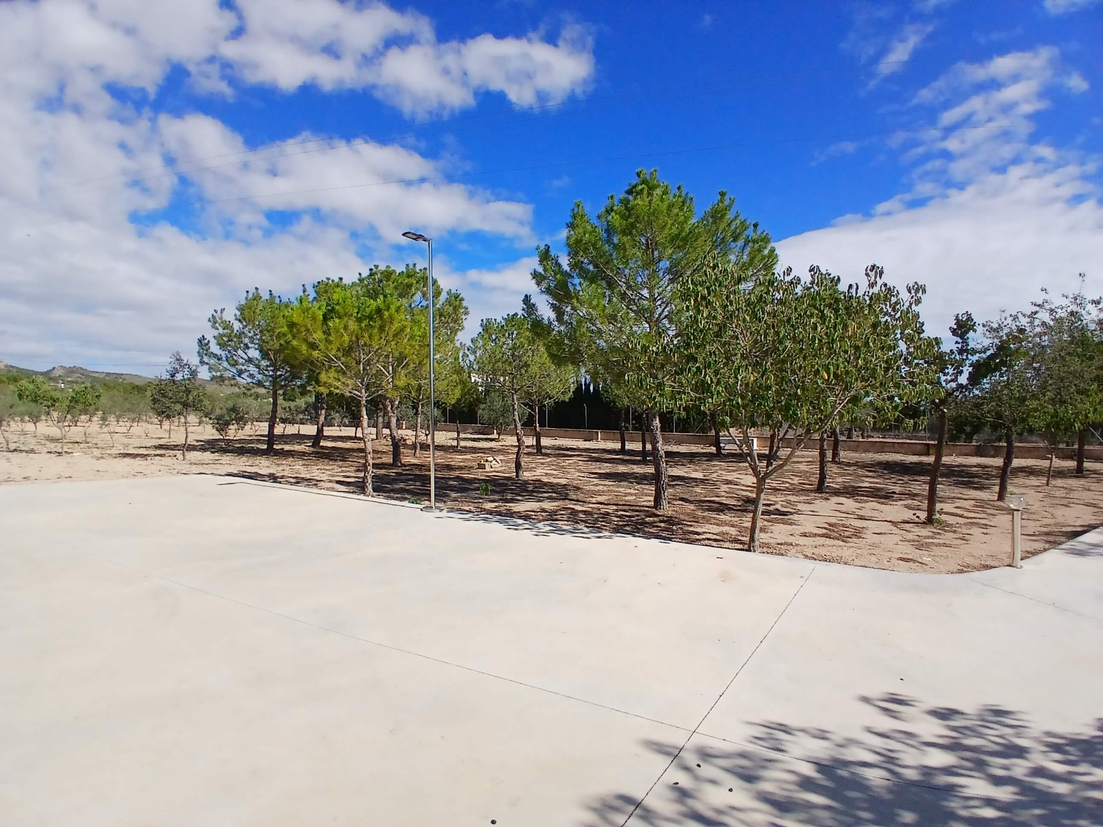 Pool area in villa for sale in Yecla
