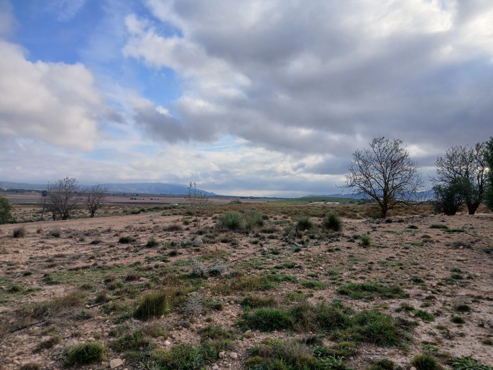 Bathroom in land for sale in Yecla