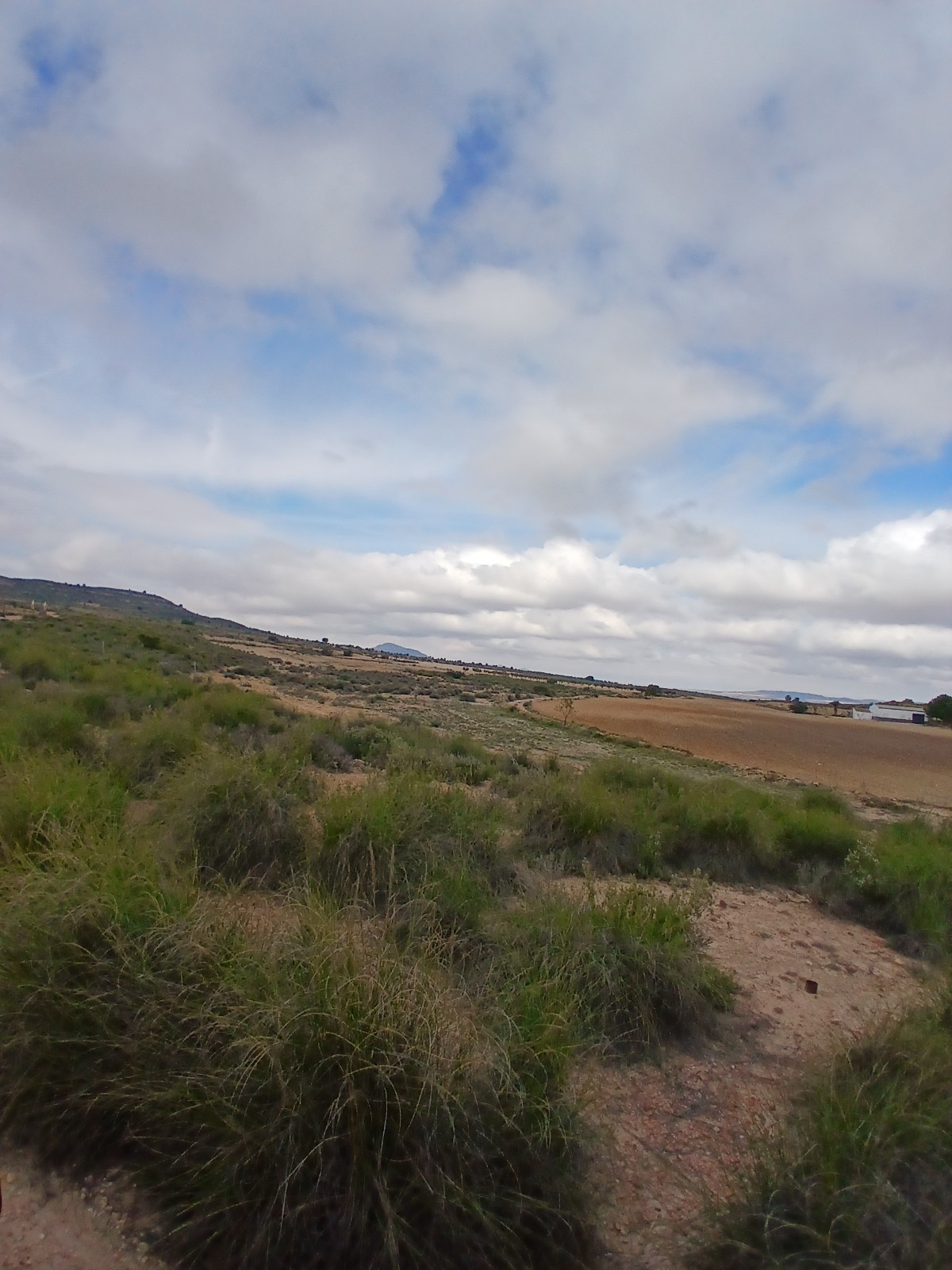 Exterior view in land for sale in Yecla