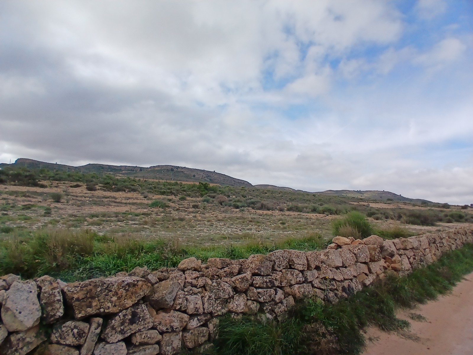 Kitchen in land for sale in Yecla