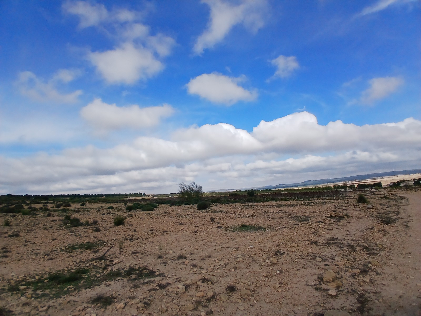 Bathroom in land for sale in Yecla