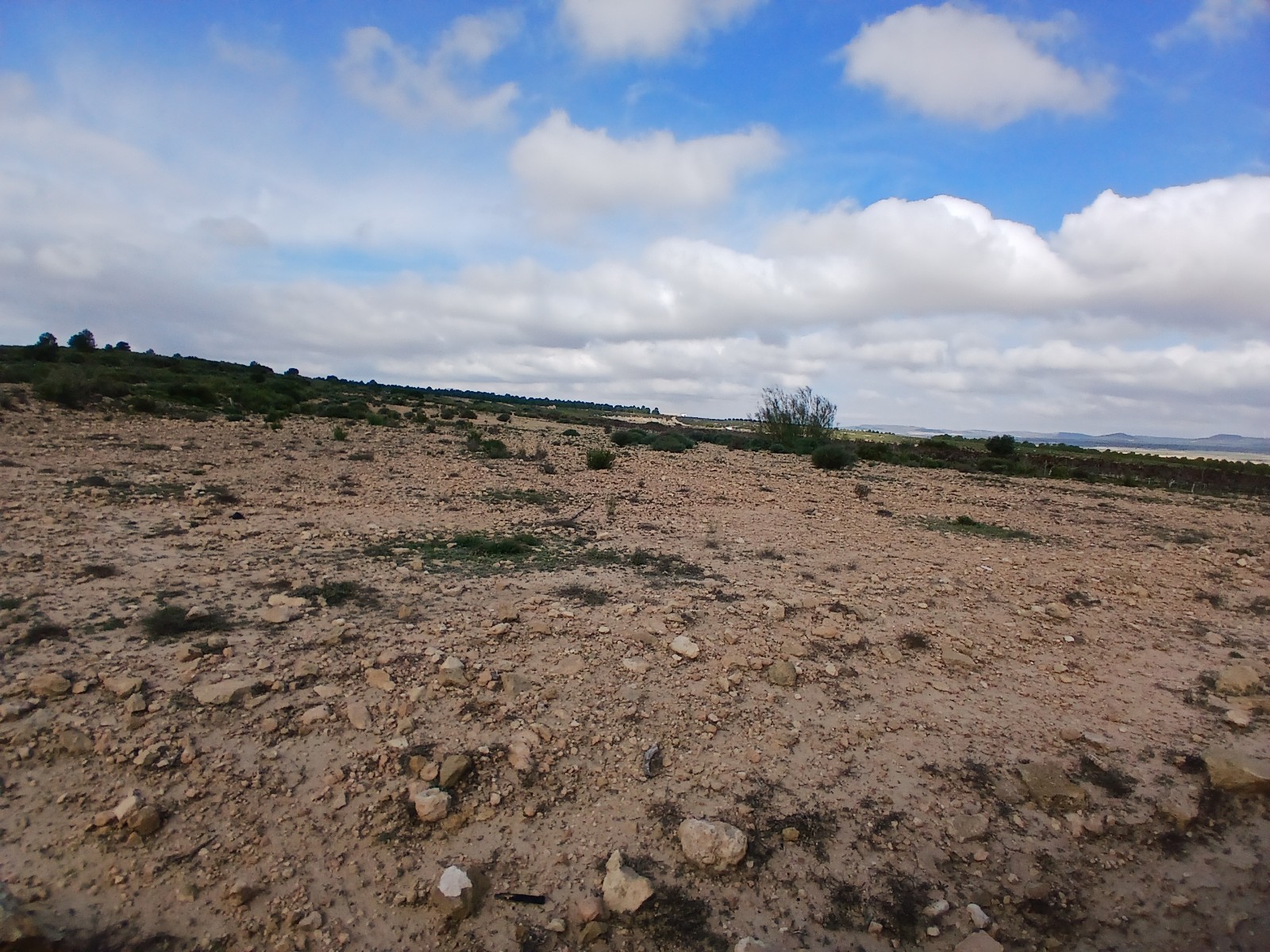 Terrace in land for sale in Yecla