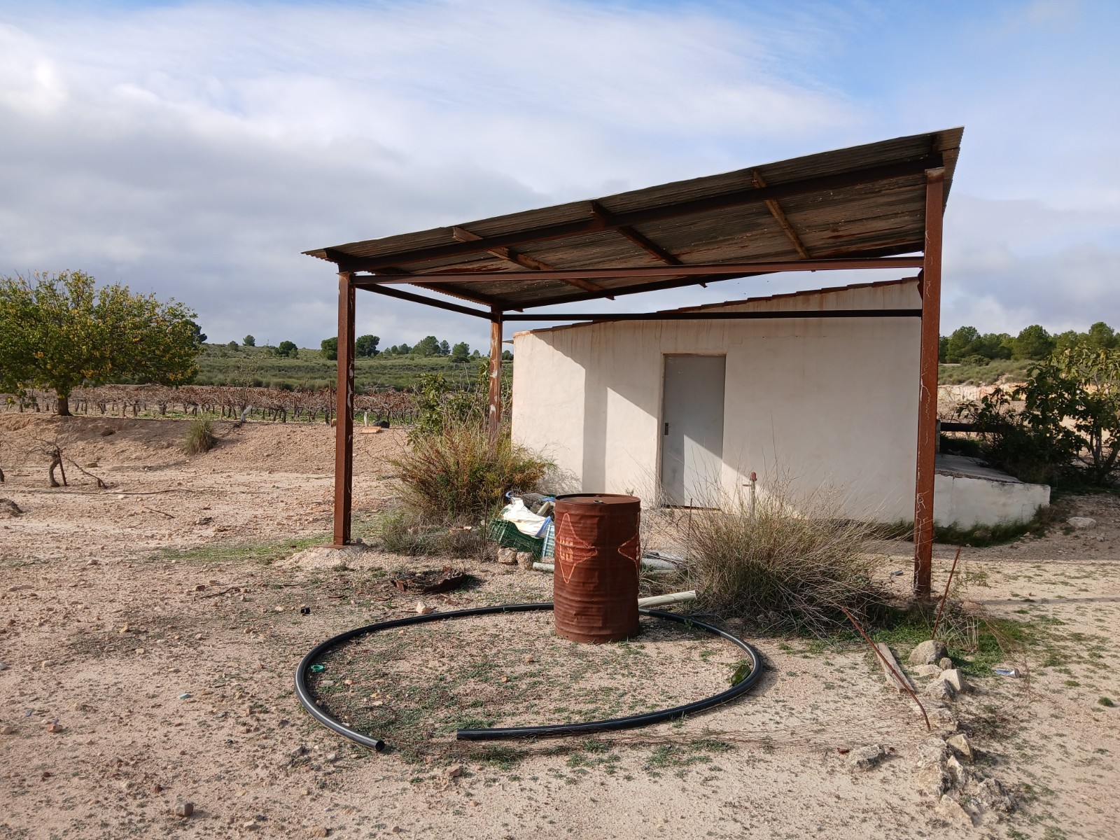 Pool area in land for sale in Yecla