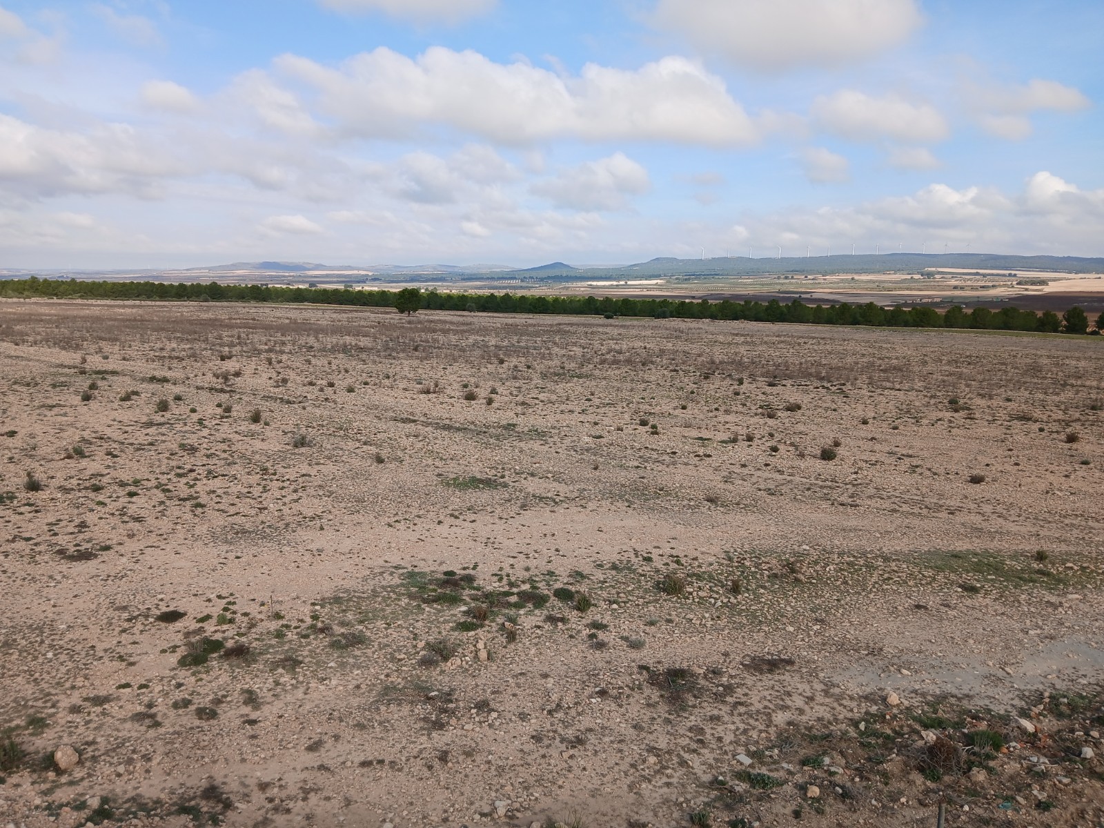 Exterior view in land for sale in Yecla