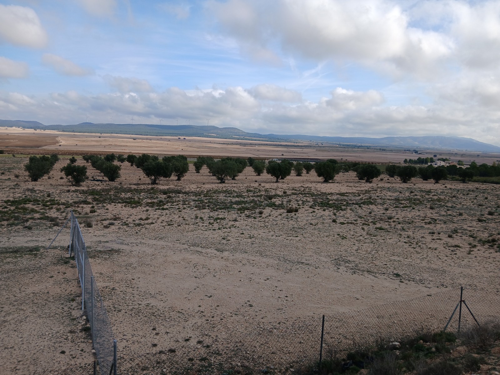 Bathroom in land for sale in Yecla