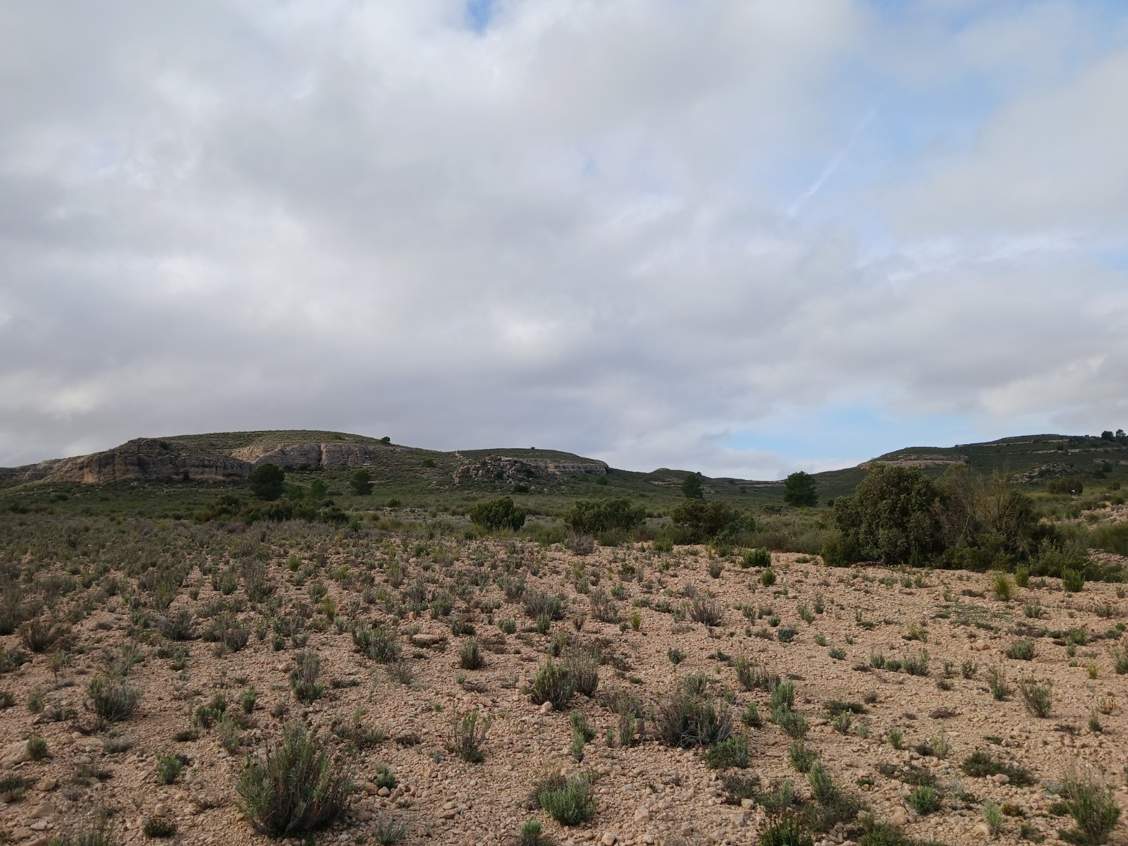 Terrace in land for sale in Yecla