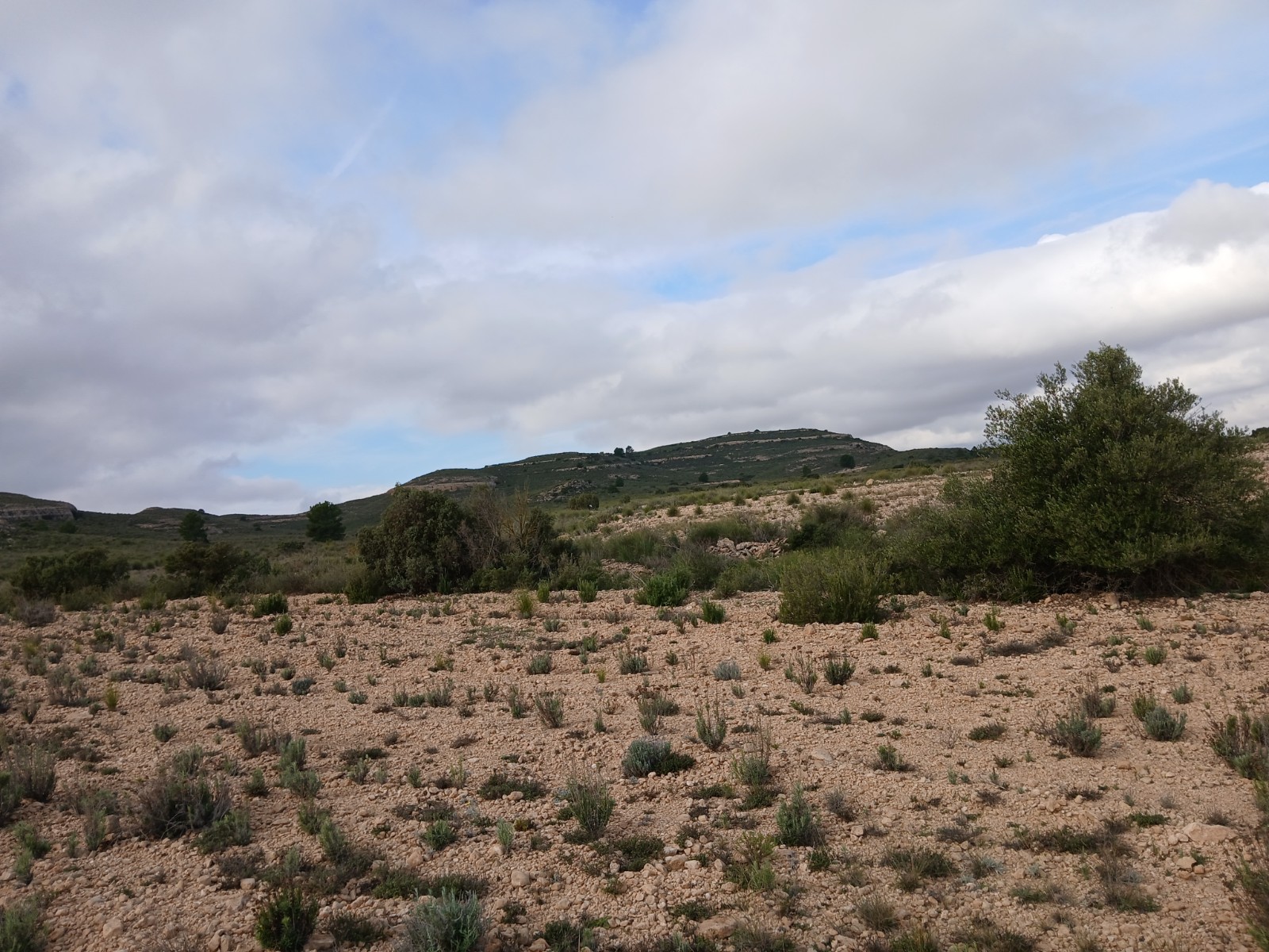 Pool area in land for sale in Yecla