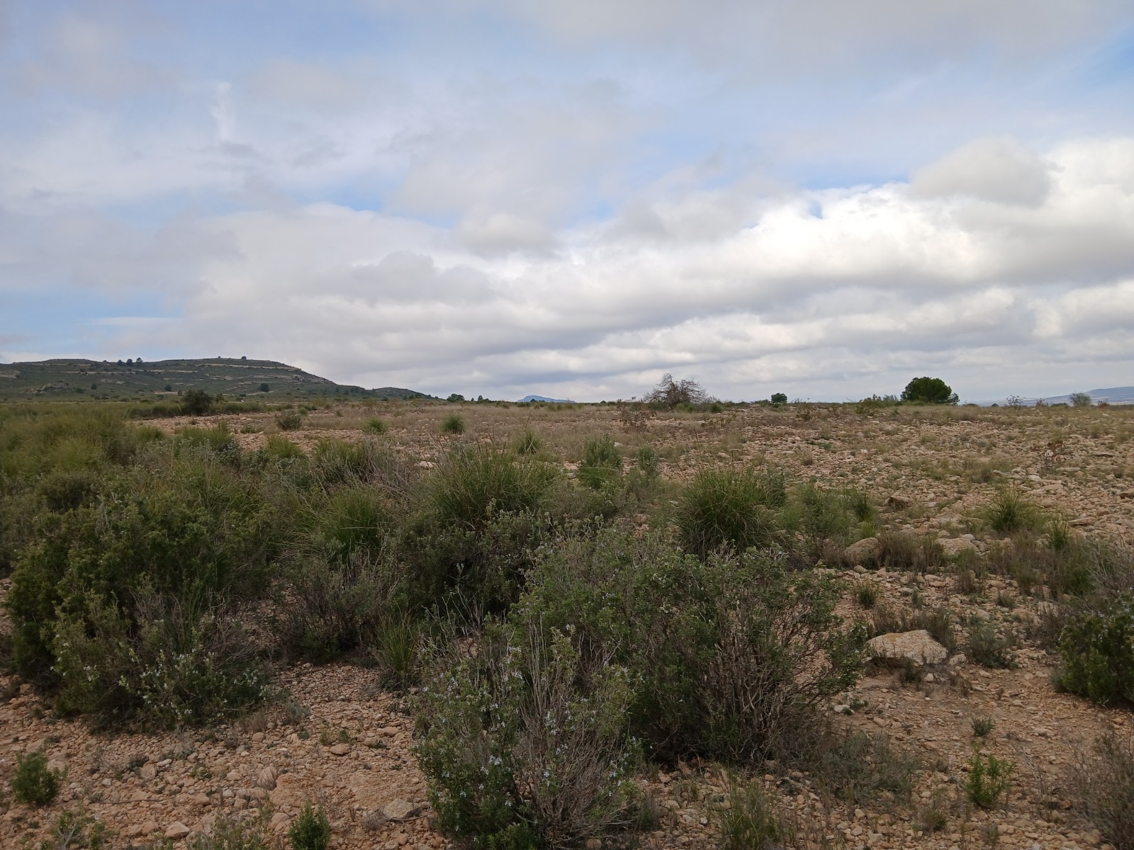 Dining area in land for sale in Yecla