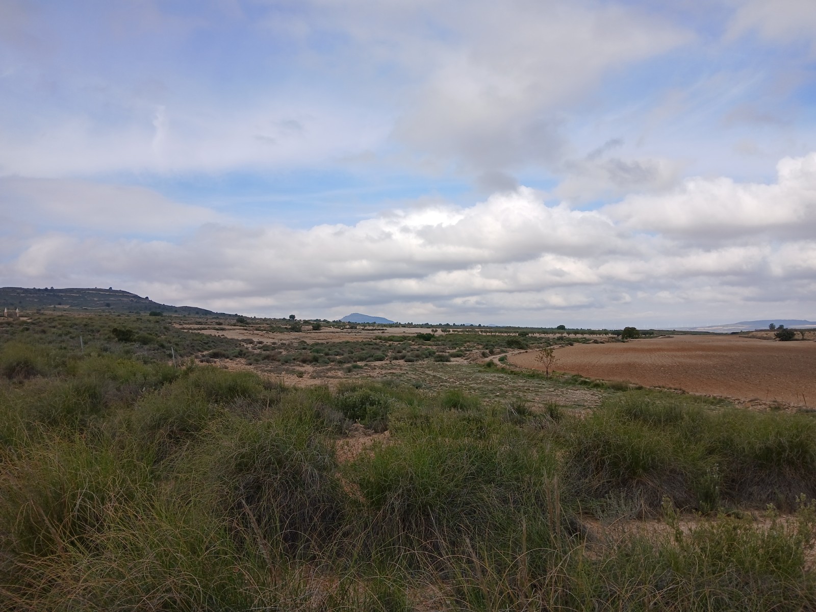 Bedroom in land for sale in Yecla