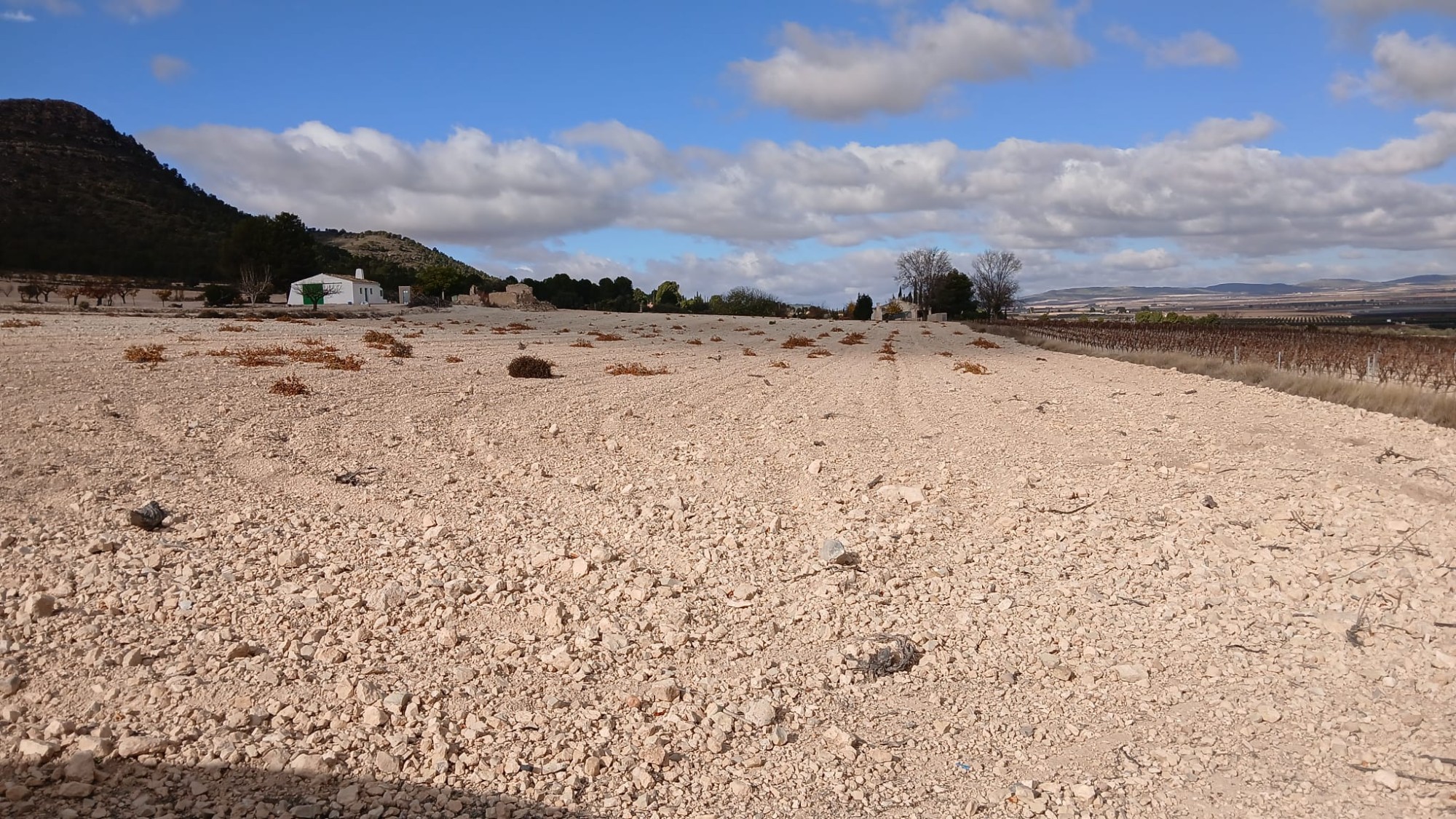 Exterior view in land for sale in Yecla