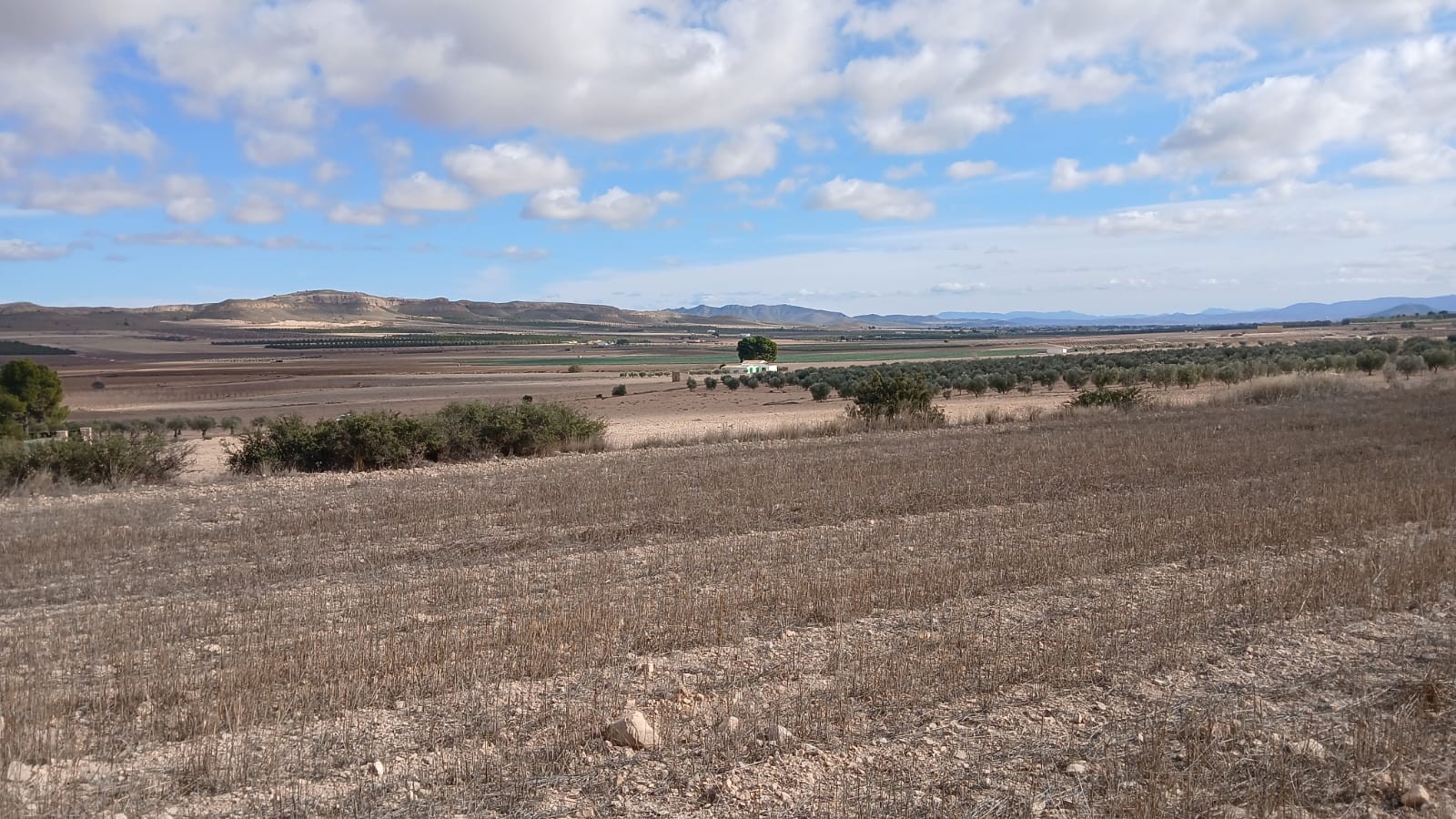 Terrace in land for sale in Yecla