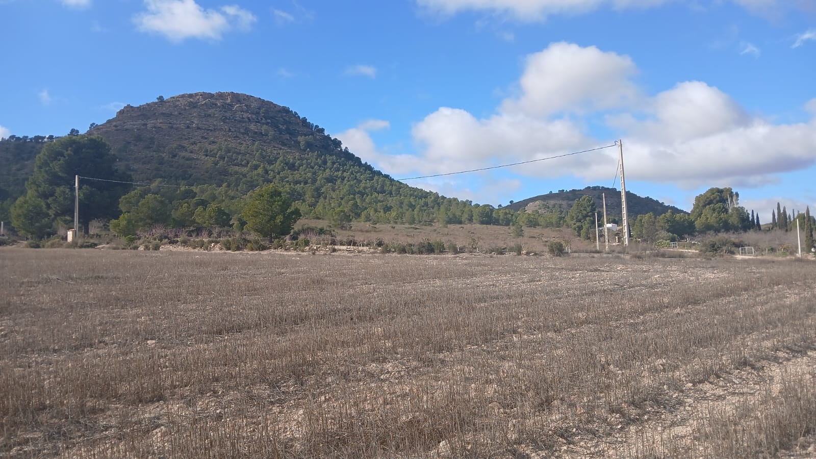 Pool area in land for sale in Yecla