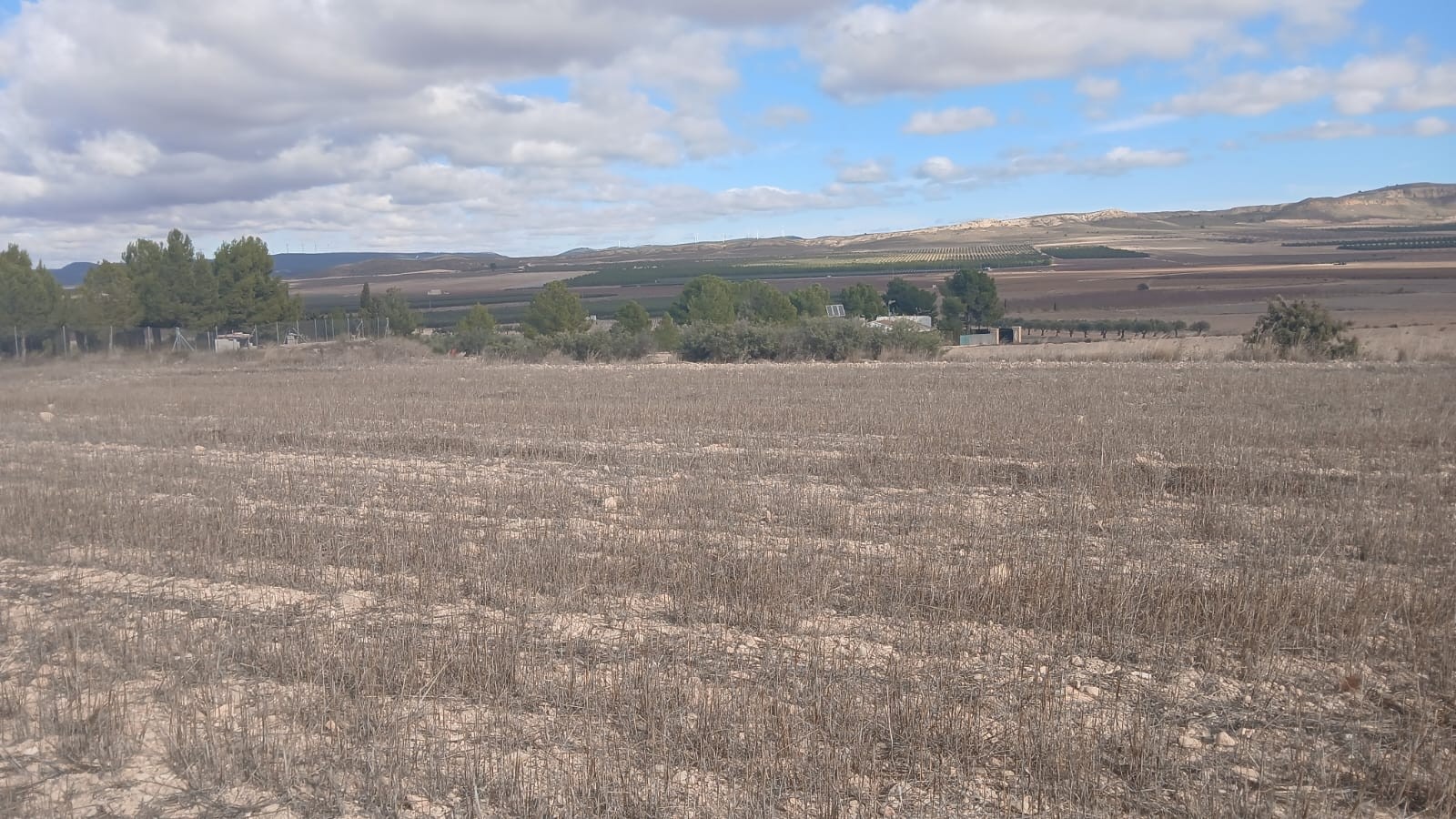 Garden in land for sale in Yecla