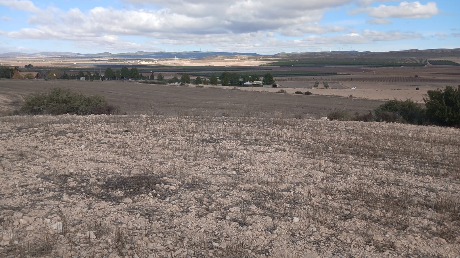 Exterior view in land for sale in Yecla